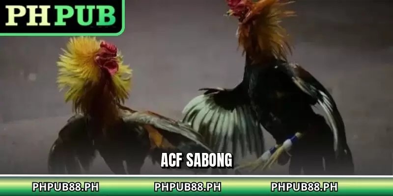 ACF Sabong