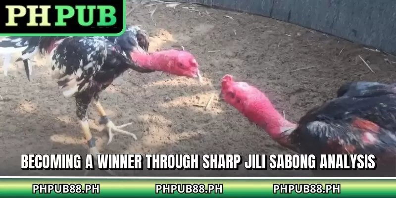 Becoming a winner through sharp JILI sabong analysis