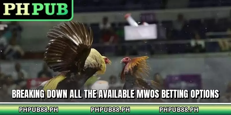 Breaking down all the available MWOS betting options