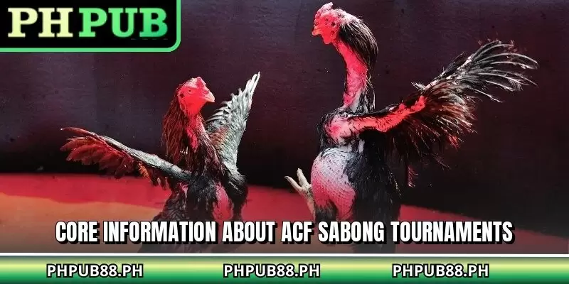 Core information about ACF sabong tournaments