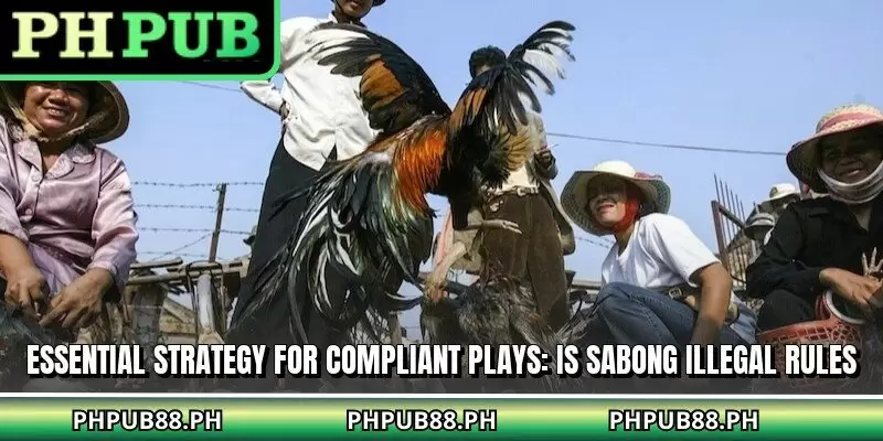 Essential strategy for compliant plays: Is sabong illegal rules