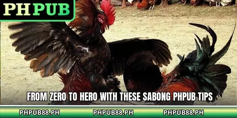 From zero to hero with these Sabong PHPUB tips