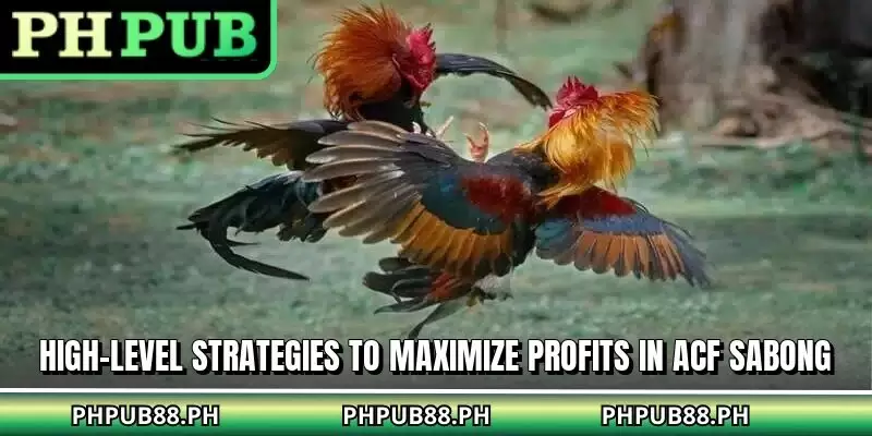 High-level strategies to maximize profits in ACF sabong