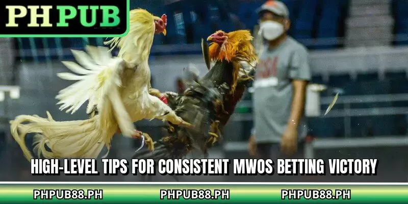 High-level tips for consistent MWOS betting victory