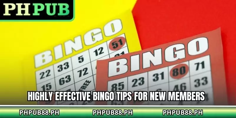 Highly Effective Bingo Tips for New Members