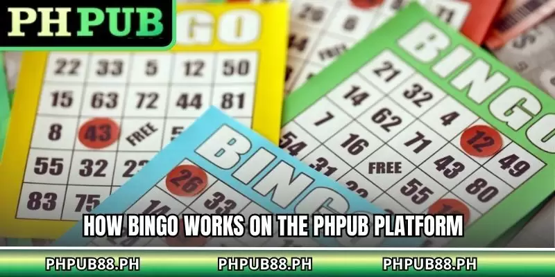 How Bingo Works on the PHPUB Platform