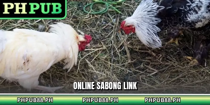Online Sabong Link