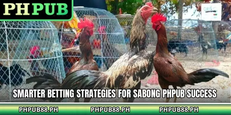 Smarter betting strategies for sabong PHPUB success