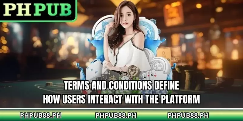 Terms And Conditions define how users interact with the platform