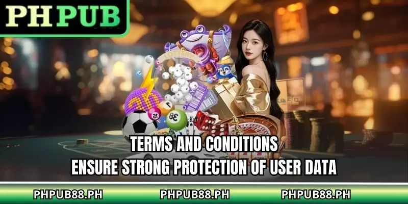 Terms And Conditions ensure strong protection of user data