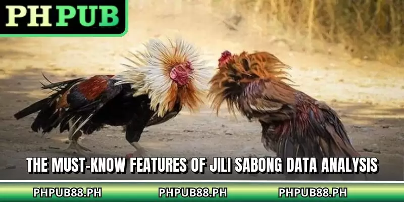 The must-know features of JILI sabong data analysis