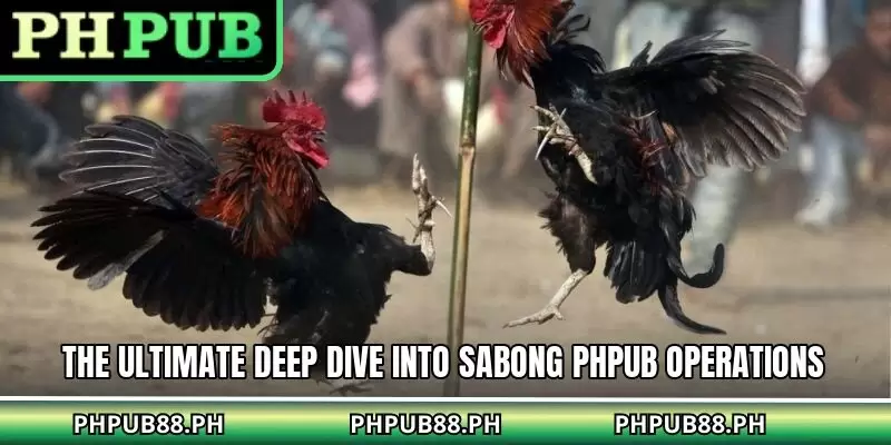 The ultimate deep dive into sabong PHPUB operations