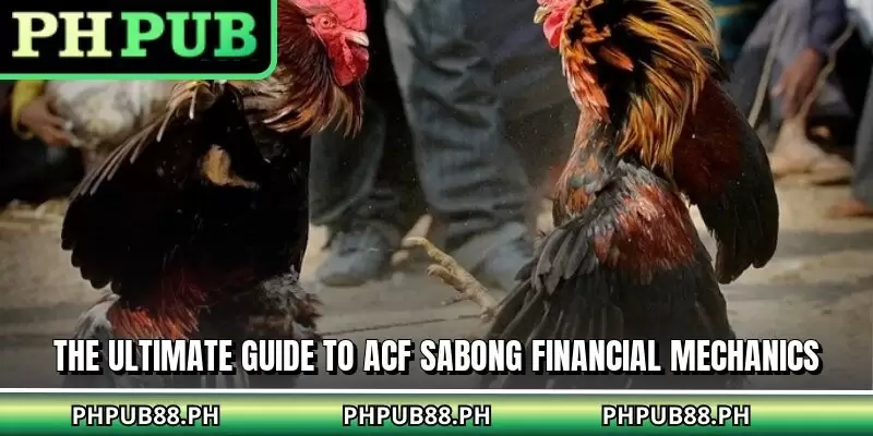 The ultimate guide to ACF sabong financial mechanics