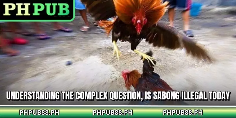 Understanding the complex question, is sabong illegal today