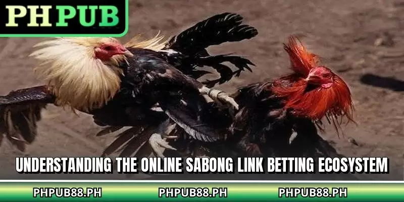 Understanding the online sabong link betting ecosystem