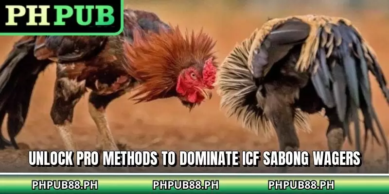 Unlock pro methods to dominate ICF sabong wagers