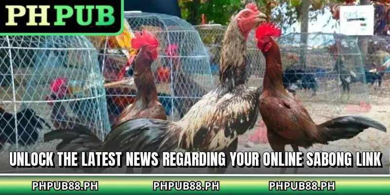Unlock the latest news regarding your online sabong link