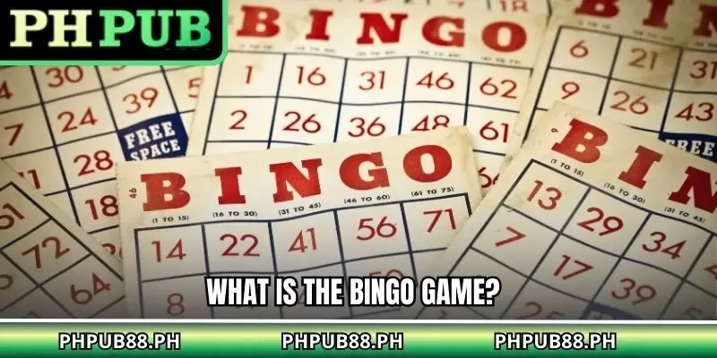 What Is the Bingo Game?