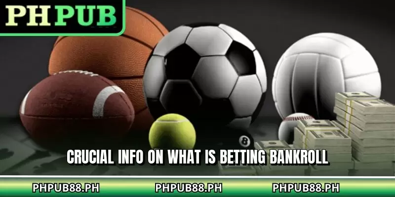 Crucial info on what is betting bankroll