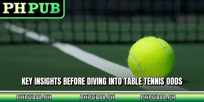 Key insights before diving into table tennis odds